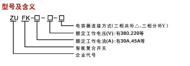 ZUFK系列智能復(fù)合開關(guān)型號(hào)說明 ZUFK系列智能復(fù)合開關(guān)型號(hào)說明