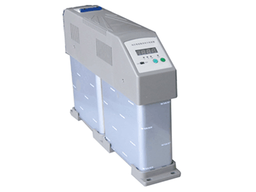 DLZC智能電容器 集成復(fù)合開關(guān)電力電容器